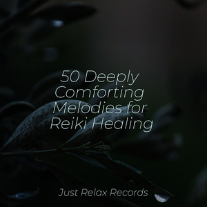 Love's Endless Embrace