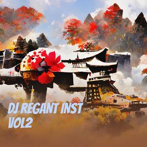 Dj Regant Inst Vol2 (Acoustic)