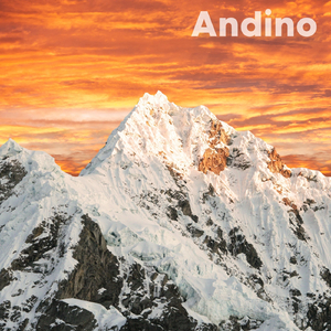 Andino