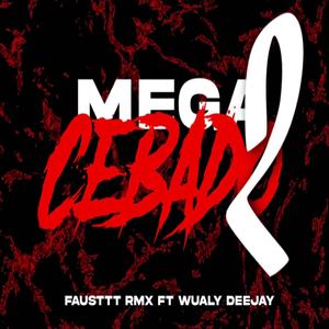 Mega Cebado 2 (feat. Wualy Deejay)