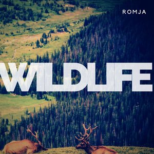 Wildlife
