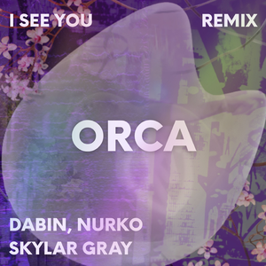 dabin, nurko, skylar grey - i see you (ORCA remix)