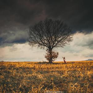 Το Τραγούδι της Βροχής