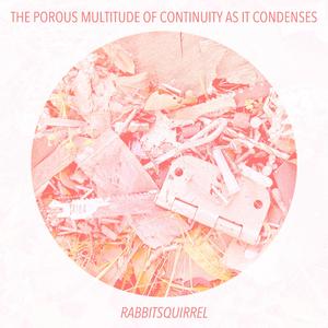 The porous multitude of continuity as it condenses