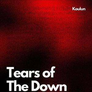 Tears of The Down