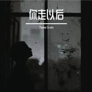 你走以后