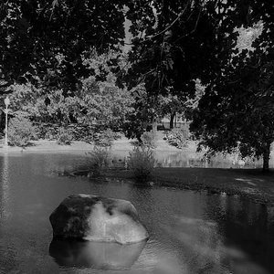 Solo con mi soledad (Instrumental)