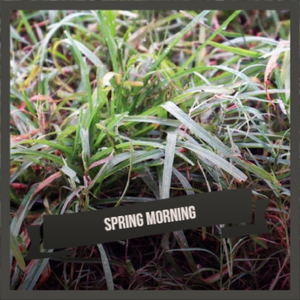 Getting Ready for the Final