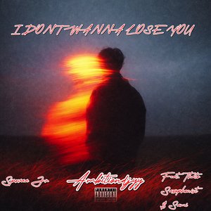 I Don't Wanna Lose You