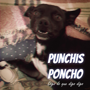 Digo Lo Que Digo Digo