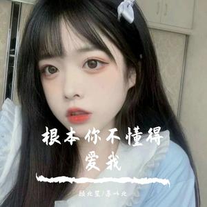 根本你不懂得爱我 (DJ抖音版)