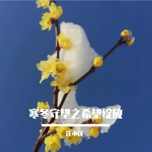 寒冬守望之希望绽放 伴奏