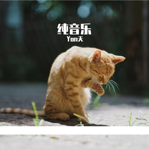 衣角里的告别