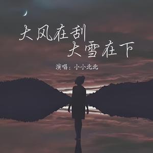 大风在刮大雪在下