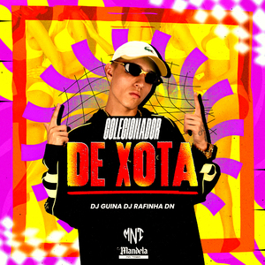 Colecionador de Xota
