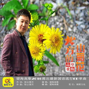 北方的山菊花 (伴奏)