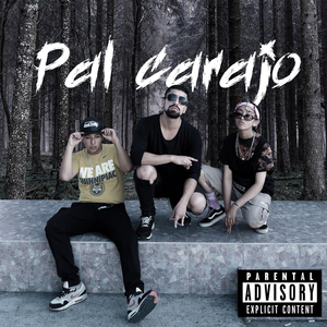 Pal Carajo (Rmx)