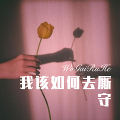 我该如何去厮守 (Remix)