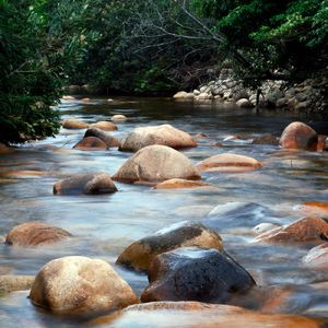 Comforting Noise of The River, Track.01