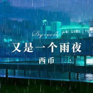 又是一个雨夜