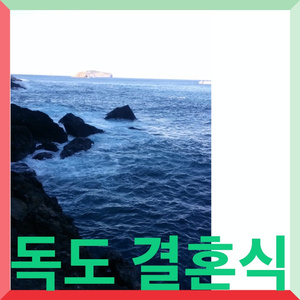 독도 결혼식