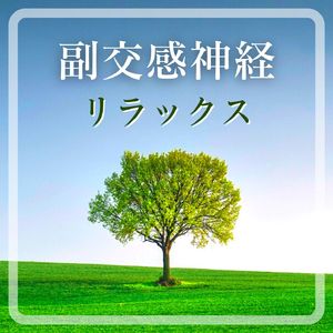 朝日を浴びる瞑想