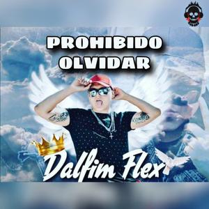 Prohibido Olvidar Dalfim Flex (feat. El Sato Oficial, La Ele & Andy Knaiv)