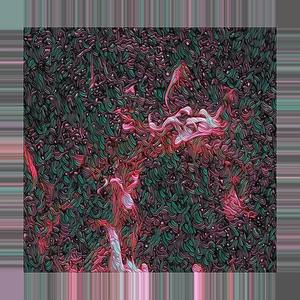 coda (trippy meditative love)