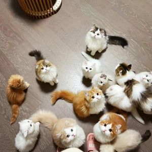 入坑手册
