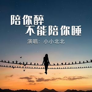 陪你醉不能陪你睡