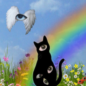 Beyond//Comprehenison??