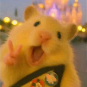 the middle of the night