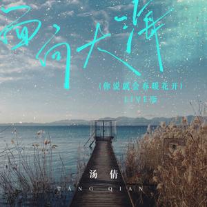 面向大海(你说就会春暖花开) (Live)