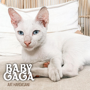 Baby Gaga