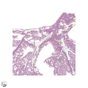 Rightful Owners Of The Carcass (Single)