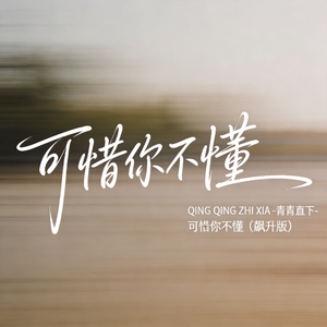 可惜你不懂（飙升版）