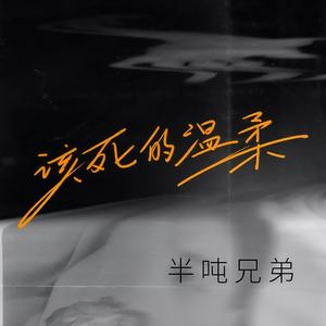 该死的温柔 (DJ九零版)