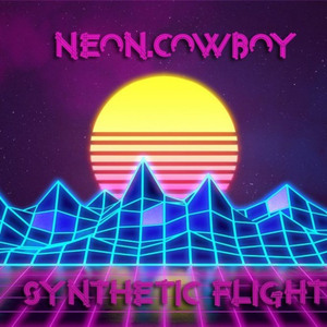 Synthetic Flight (Original Mix)
