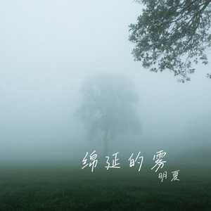绵延的雾