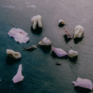 Ast (Ludwig Wandinger Remix)