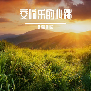 交响乐的心跳
