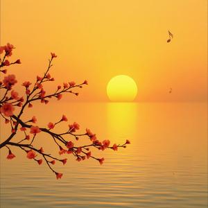 纯音乐-冷月盼归航