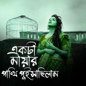 একটা মায়ার পাখি পুইসাছিলাম