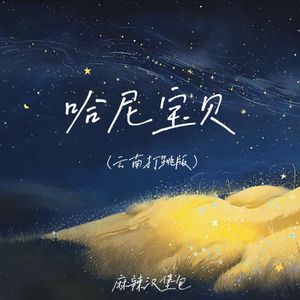 哈尼宝贝（云南打跳版）