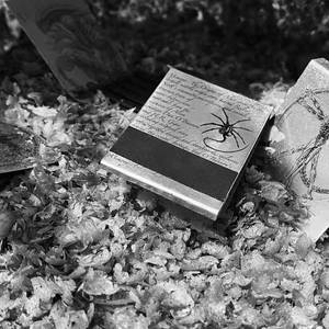 冷柴盒（Prod By 9Zi)