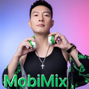 腾格尔-DJ魔笔 - 腾格尔 - 天堂 (MobiMix2024)（DJ MOBi remix）