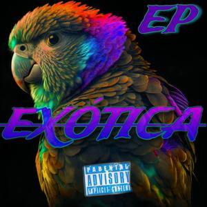 Belong To You (feat. Bahashi)