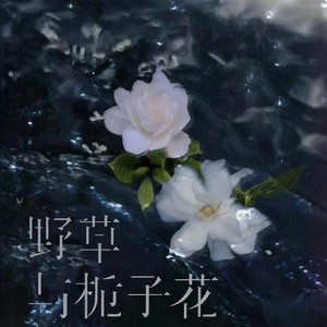 野草和栀子花（枯萎的野草怎配得上栀子花）