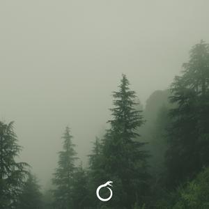 Fog