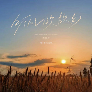 听风吹故乡(DJ版)